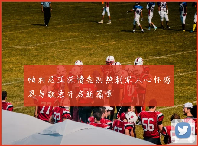 帕利尼亚深情告别热刺家人心怀感恩与敬意开启新篇章