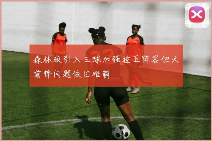 森林狼引入三球加强控卫阵容但大前锋问题依旧难解